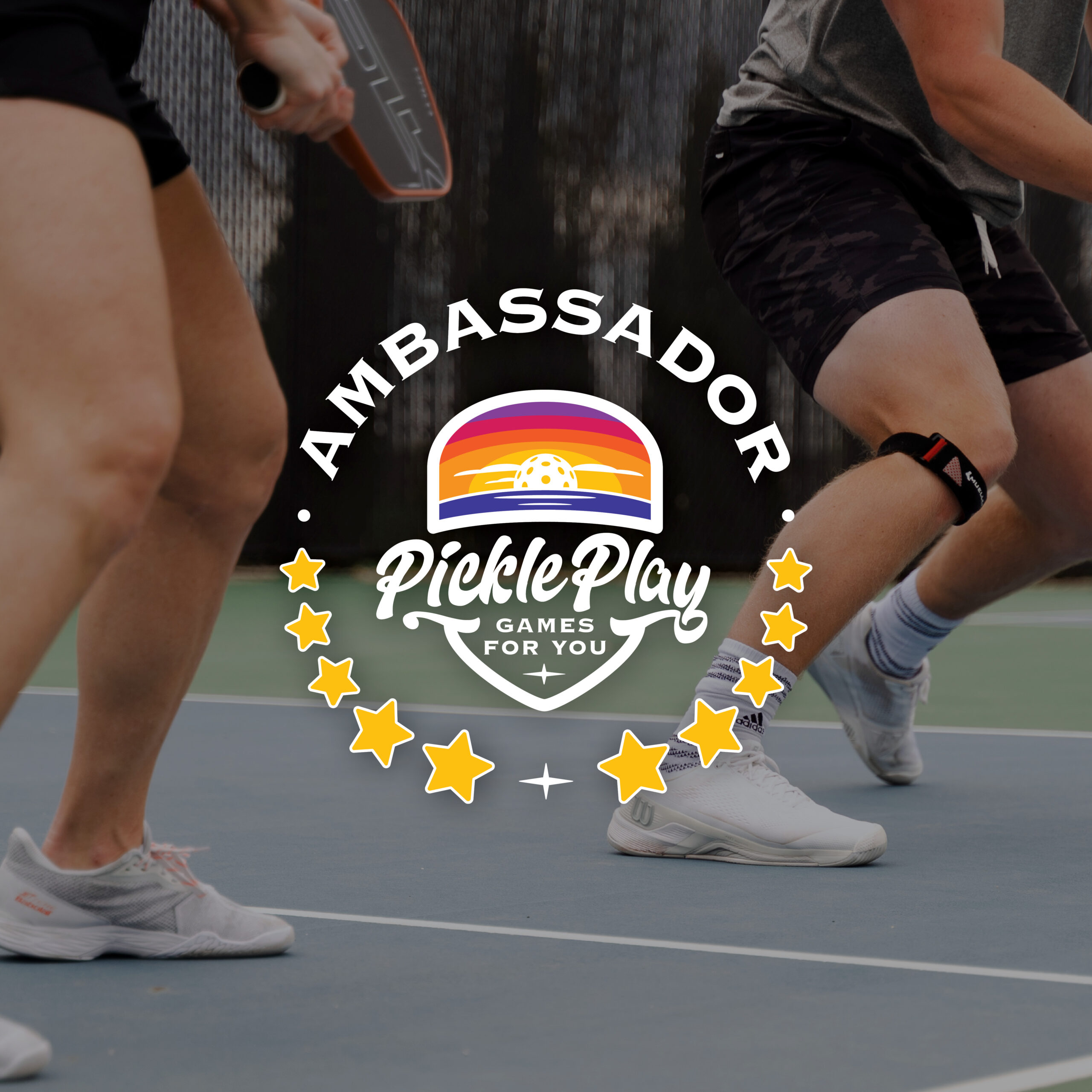 Become a PicklePlay Ambassador and Grow Pickleball in Your Community!